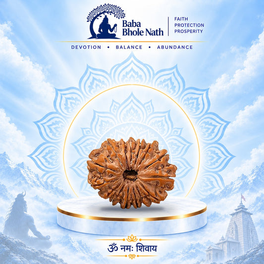 15 Mukhi Rudraksha Original Loose Bead (Nepali)