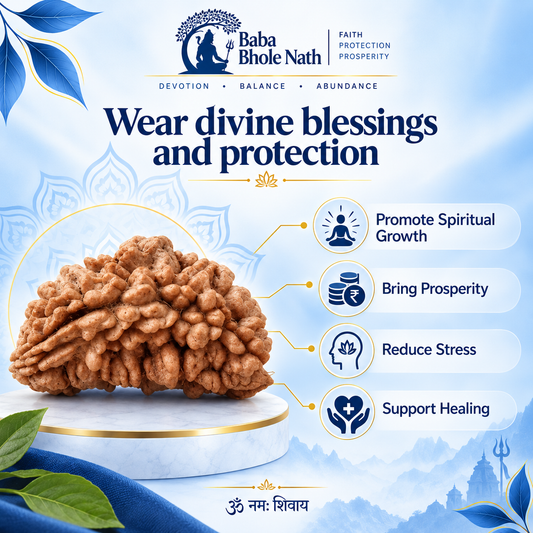 1 Mukhi Rudraksha Original Loose Bead (Nepali)