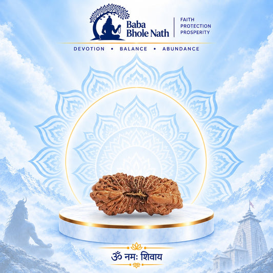 24 Mukhi Rudraksha Original Loose Bead (Indonesian)