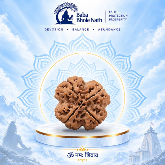 4 Mukhi Rudraksha Original Loose Bead (Nepali)