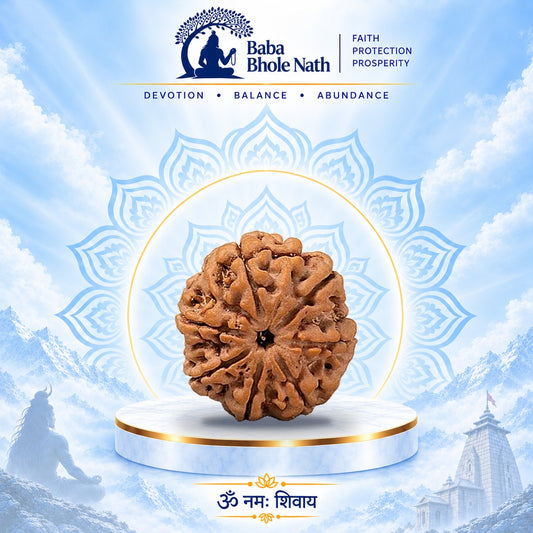 7 Mukhi Rudraksha Original Loose Bead (Nepali)