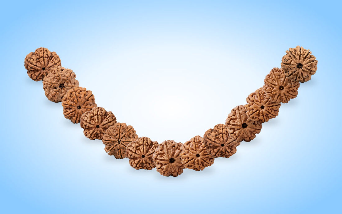 Rudraksha beads strung in an arc like a mala on a soft blue aura background