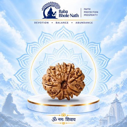 10 Mukhi Rudraksha Original Loose Bead (Nepali)