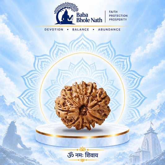 10 Mukhi Rudraksha Original Loose Bead (Nepali)