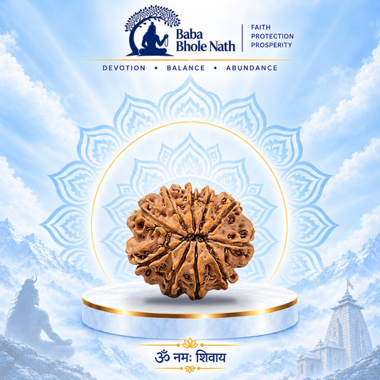 10 Mukhi Rudraksha Original Loose Bead (Nepali)