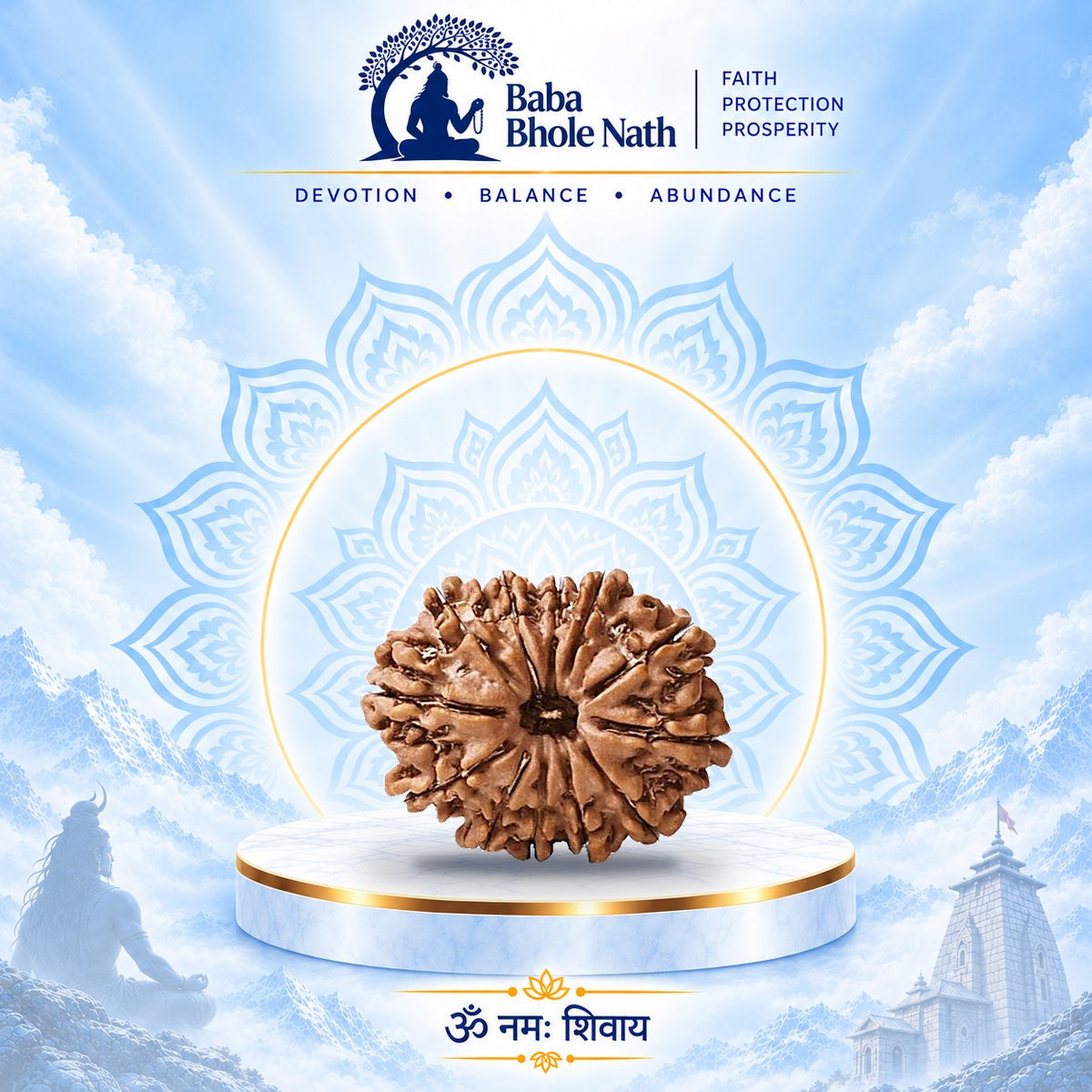 12 Mukhi Rudraksha Original Loose Bead (Nepali)
