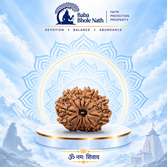 12 Mukhi Rudraksha Original Loose Bead (Nepali)