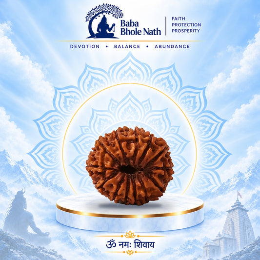 13 Mukhi Rudraksha Original Loose Bead (Nepali)