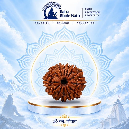 13 Mukhi Rudraksha Original Loose Bead (Nepali)