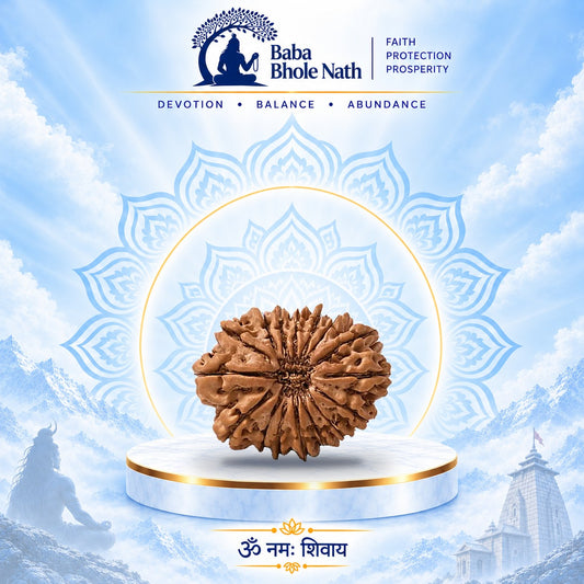 16 Mukhi Rudraksha Original Loose Bead (Nepali)