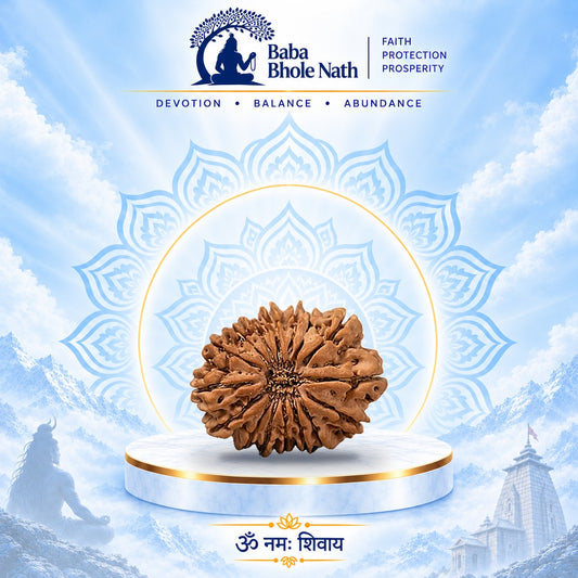 16 Mukhi Rudraksha Original Loose Bead (Nepali)