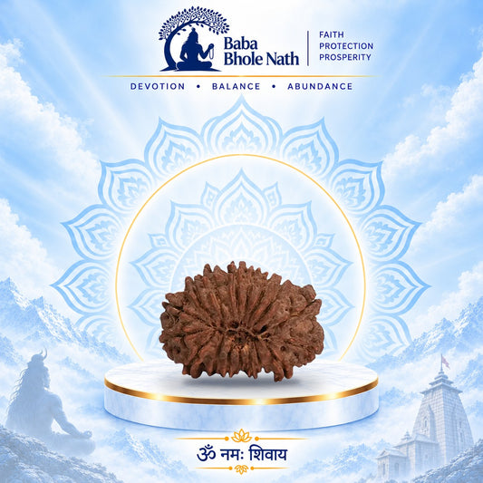 17 Mukhi Rudraksha Original Loose Bead (Nepali)