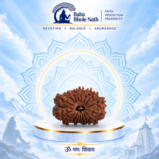 17 Mukhi Rudraksha Original Loose Bead (Nepali)
