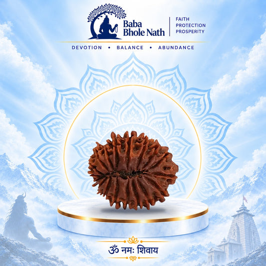 18 Mukhi Rudraksha Original Loose Bead (Nepali)