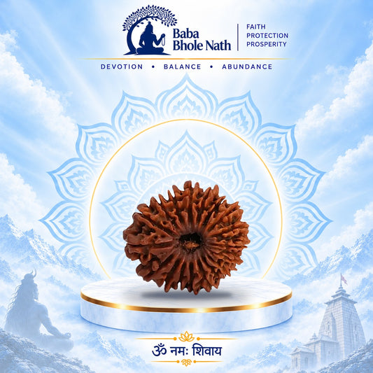 18 Mukhi Rudraksha Original Loose Bead (Nepali)