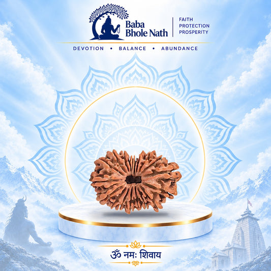 19 Mukhi Rudraksha Original Loose Bead (Nepali)