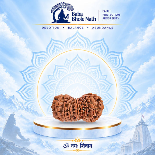 19 Mukhi Rudraksha Original Loose Bead (Nepali)