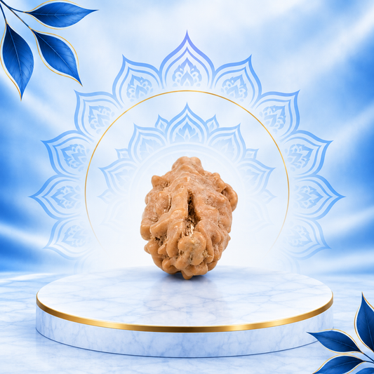 1 Mukhi Rudraksha Original Loose Bead (Indonesian)