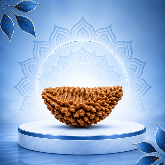 1 Mukhi Rudraksha Original Loose Bead (Rameshwaram)