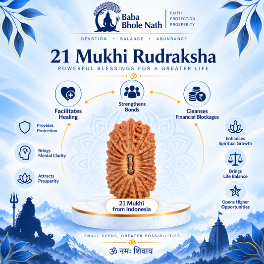 21 Mukhi Rudraksha Original Loose Bead (Indonesian)