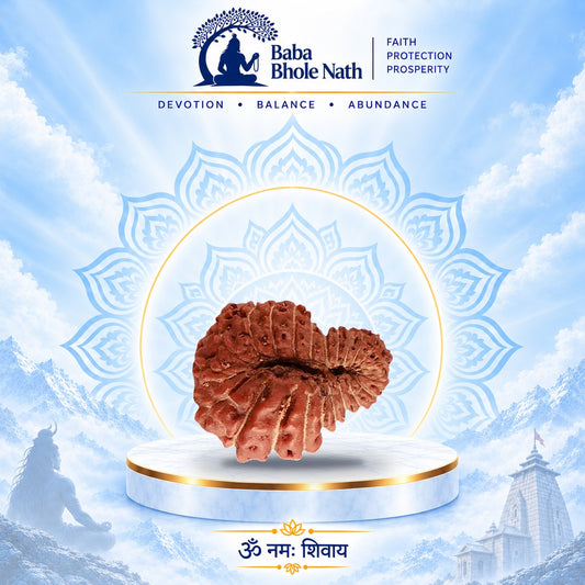 22 Mukhi Rudraksha Original Loose Bead (Indonesian)