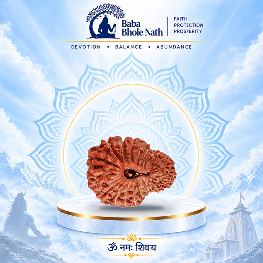 22 Mukhi Rudraksha Original Loose Bead (Indonesian)