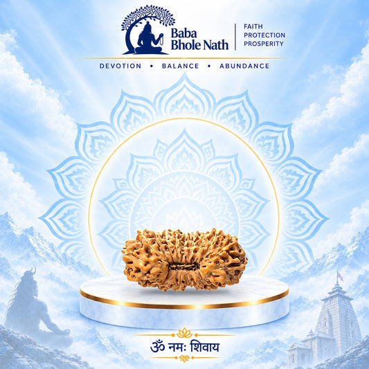 23 Mukhi Rudraksha Original Loose Bead (Indonesian)