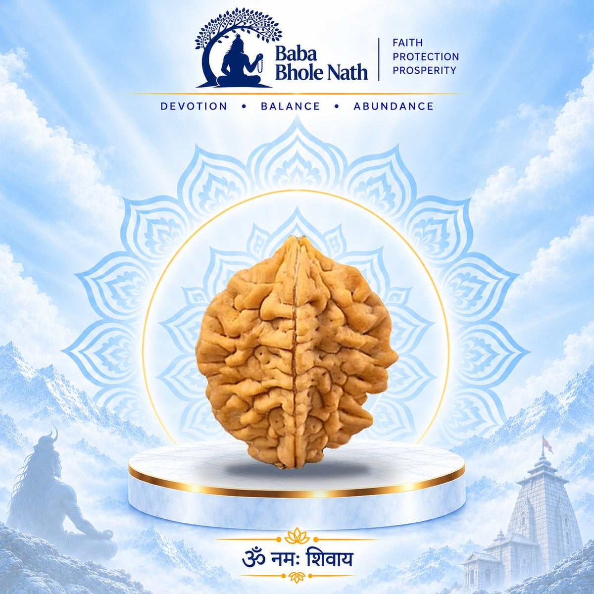 2 Mukhi Rudraksha Original Loose Bead (Nepali)