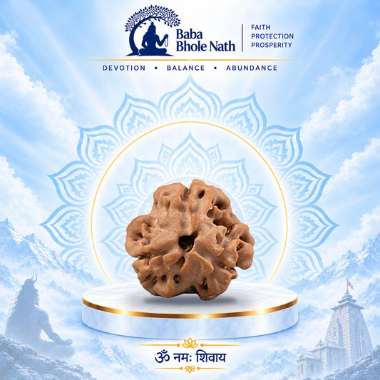 3 Mukhi Rudraksha Original Loose Bead (Nepali)