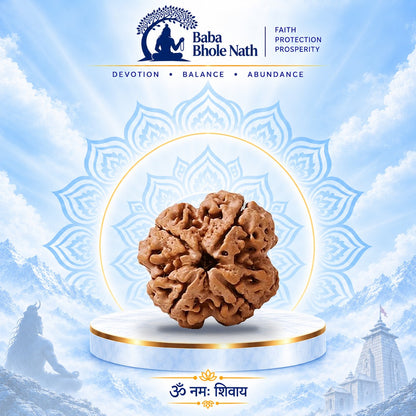 4 Mukhi Rudraksha Original Loose Bead (Nepali)