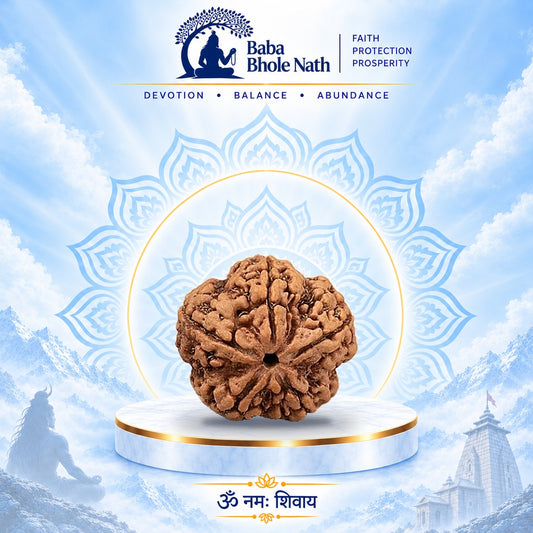 5 Mukhi Rudraksha Original Loose Bead (Nepali)