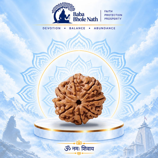 7 Mukhi Rudraksha Original Loose Bead (Nepali)