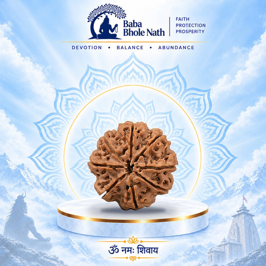 8 Mukhi Rudraksha Original Loose Bead (Nepali)
