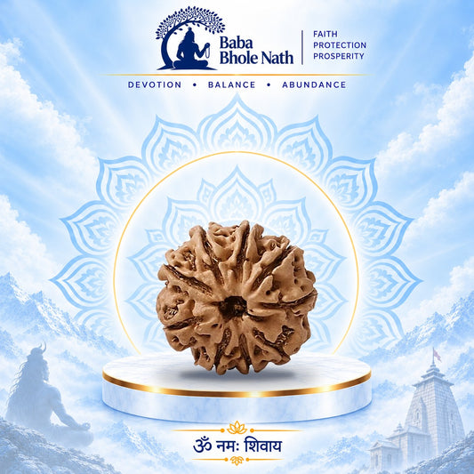 9 Mukhi Rudraksha Original Loose Bead (Nepali)
