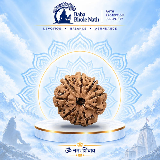 9 Mukhi Rudraksha Original Loose Bead (Nepali)