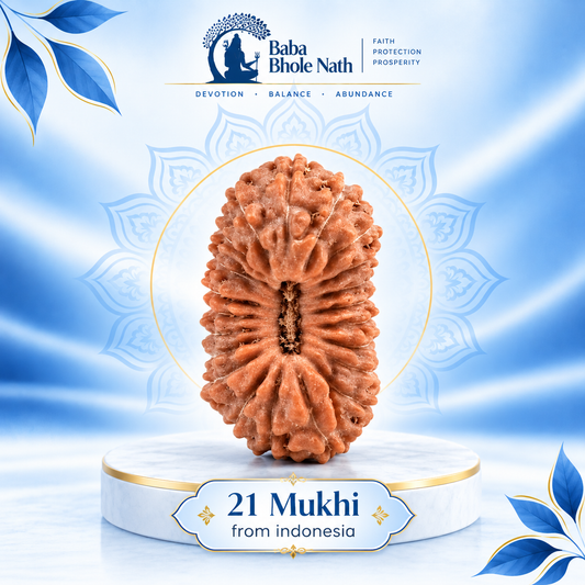 21 Mukhi Rudraksha Original Loose Bead (Indonesian)