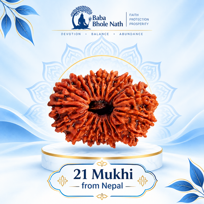 21 Mukhi Rudraksha Original Loose Bead (Nepali)