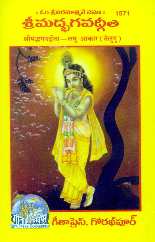 Shrimad Bhagavad Gita Laghu, Telugu edition | Baba Bhole Nath